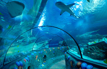 Sea Life Benalmádena