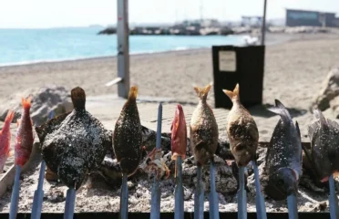 Chiringuito Saladero