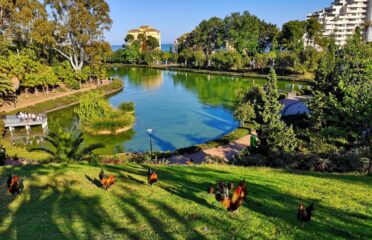 Parque de la Paloma